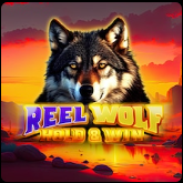 Real-wolf